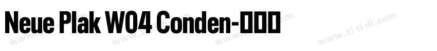 Neue Plak W04 Conden字体转换